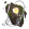 Elemancy Runes